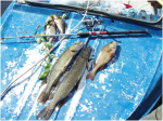 Рыбалка в якутии - Спининг