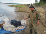 Рыбалка в Якутии - Пелядь