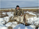 охота в Якутии на дикого северного оленя